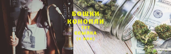 apvp Щигры