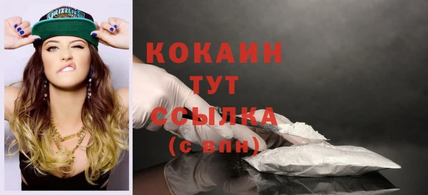 скорость Ельня