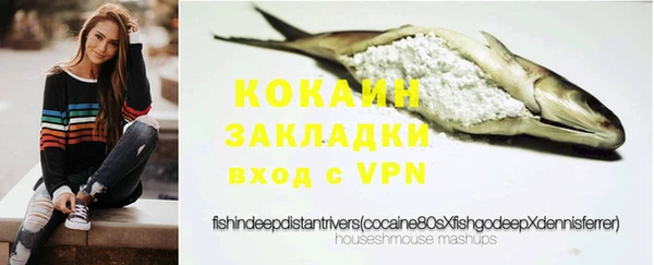 скорость Ельня