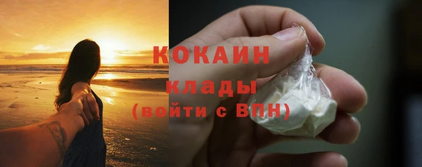 скорость Ельня
