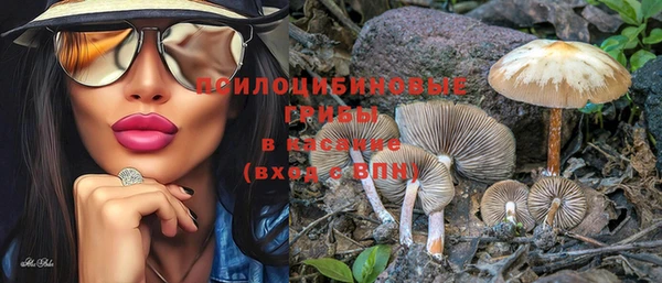 2c-b Елизово