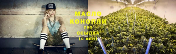 скорость Ельня